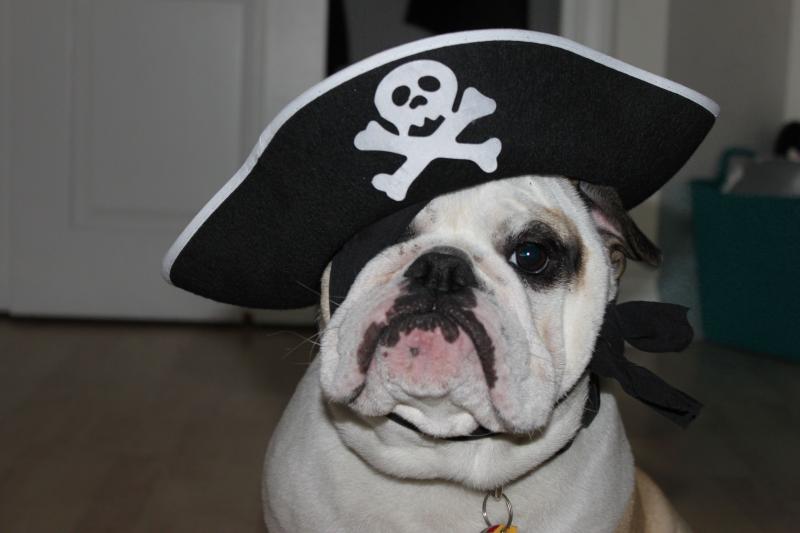 pirate 2