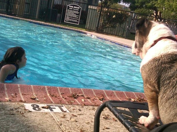 poolpup3.jpg