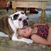 are english bulldogs good with children