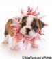 Terena's picture