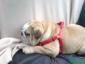Lulu's picture