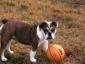 marise's picture