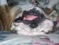 Freeney's picture