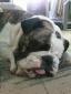 MandDottie's picture