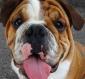 Georgina Ross's picture