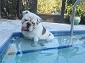mmnsm's picture