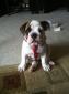 Deuce's picture