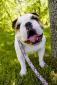 Hugo's picture