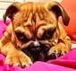 MISS NARLA's picture