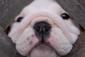 blanketsmom avatar image