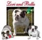 bullylover1 avatar image