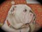 LDeLeo avatar image