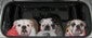 StarzBullies avatar image