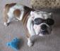 Katie and Chumlee MN avatar image