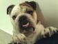 Lizzy7217 avatar image