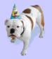 Clovis Boo Flynn and Gary avatar image