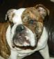 Momma.to.IZZY avatar image
