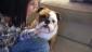 Fatboy avatar image