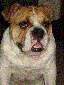 taraq avatar image