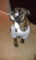 Cooper31 avatar image