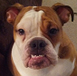 JoeyD avatar image