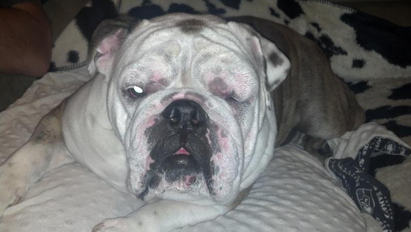 Dooleys swollen eye
