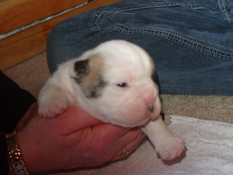 The day we met Stoney