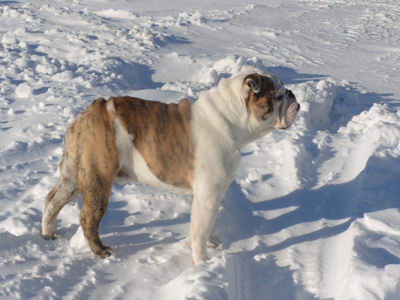 Winter Stoney