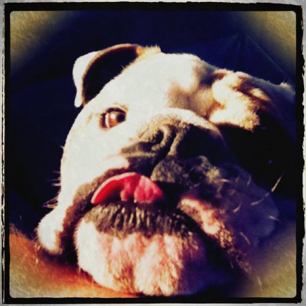 tippy