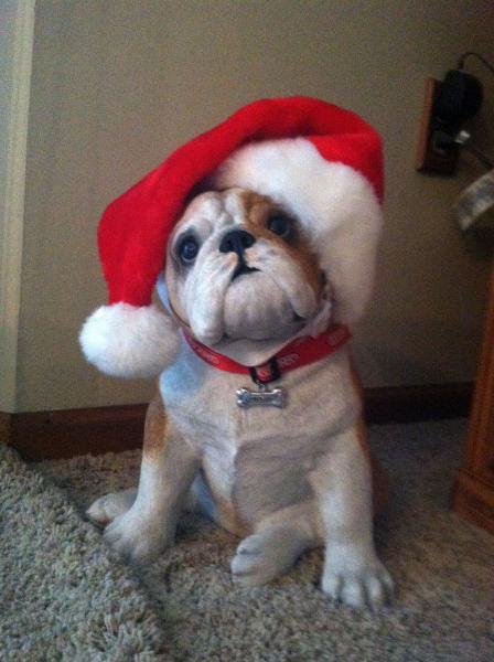 Bulldog Christmas Decorations&hellip;&hellip;
