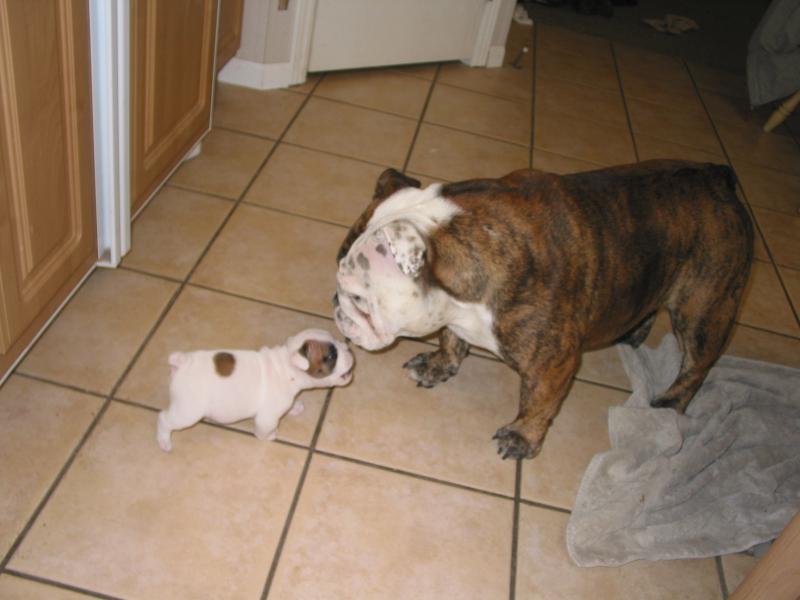 Max and Summer