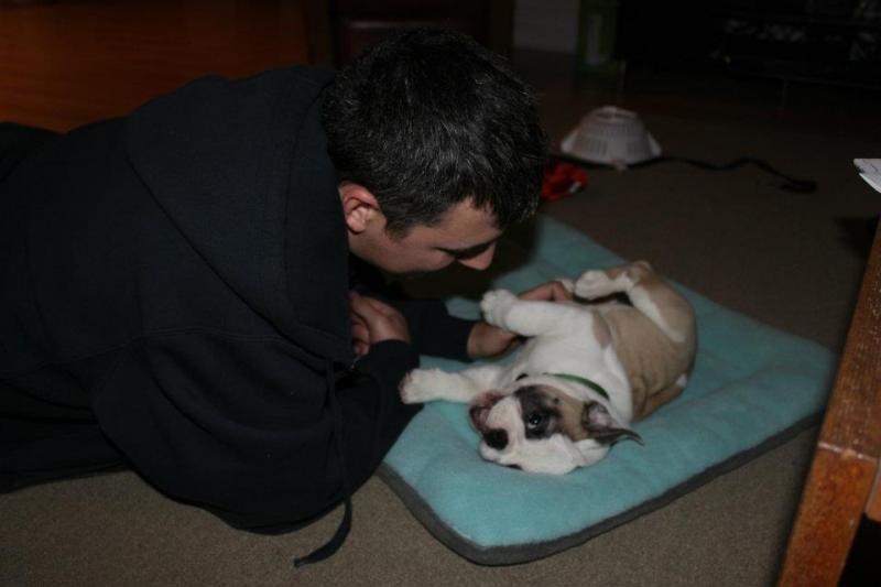 Belly Rub