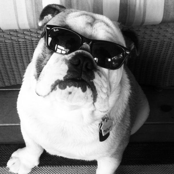 cool dude