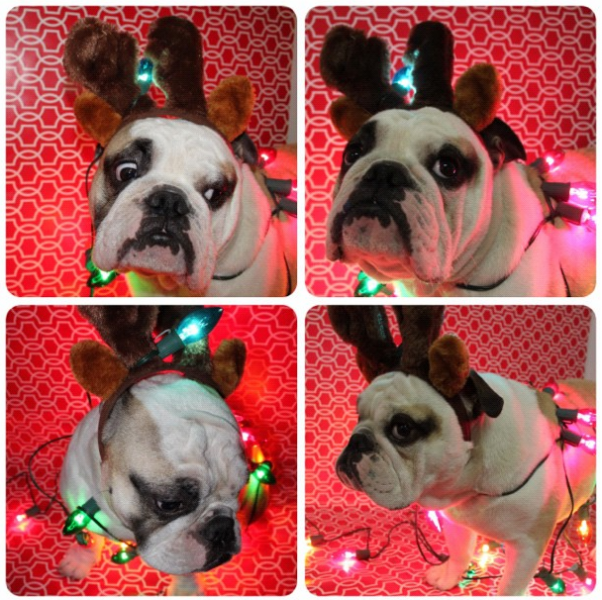 holiday takes