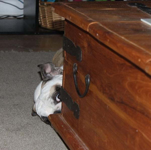 PEEKABOO