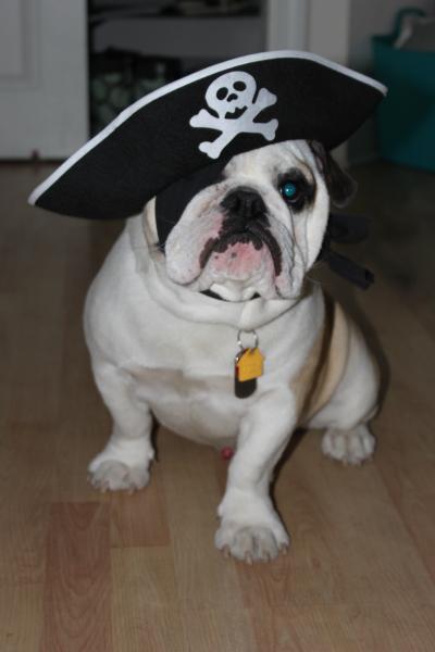 pirate 1
