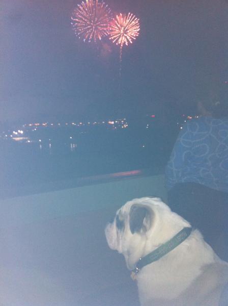 rugs fireworks