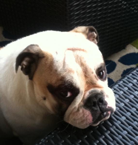 sadface