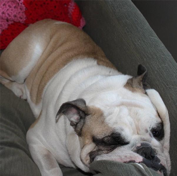 Squishy