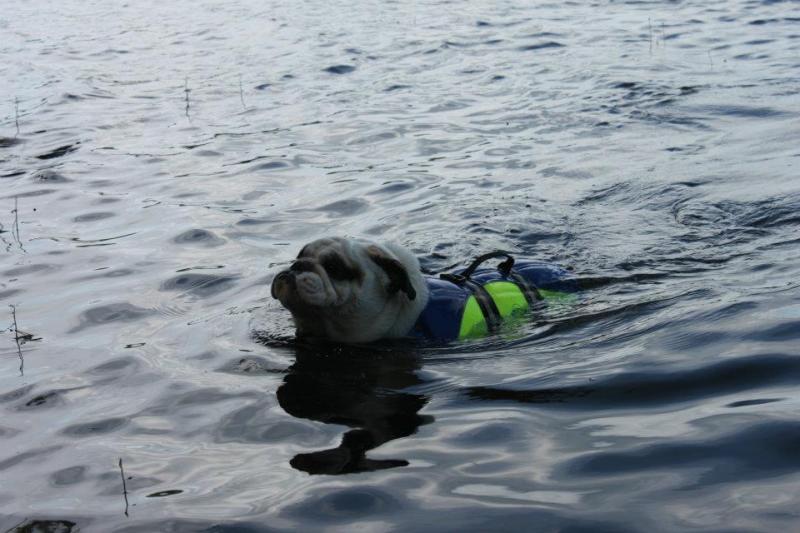 Swim