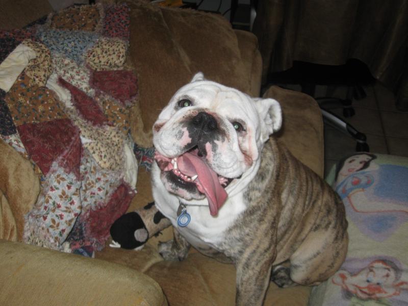 Diesel