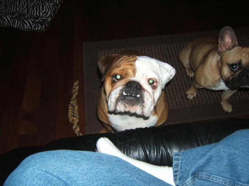 Miss Daizy