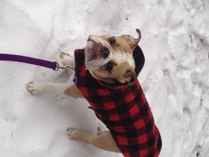 Molly's first snow