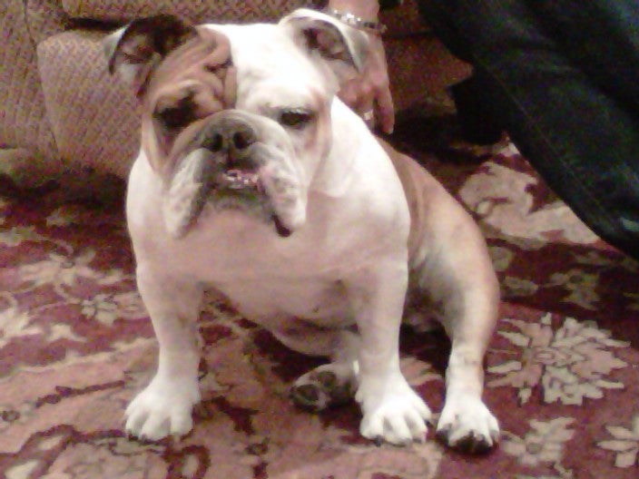 img00334-20111102-1842.jpg