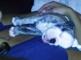Nap time