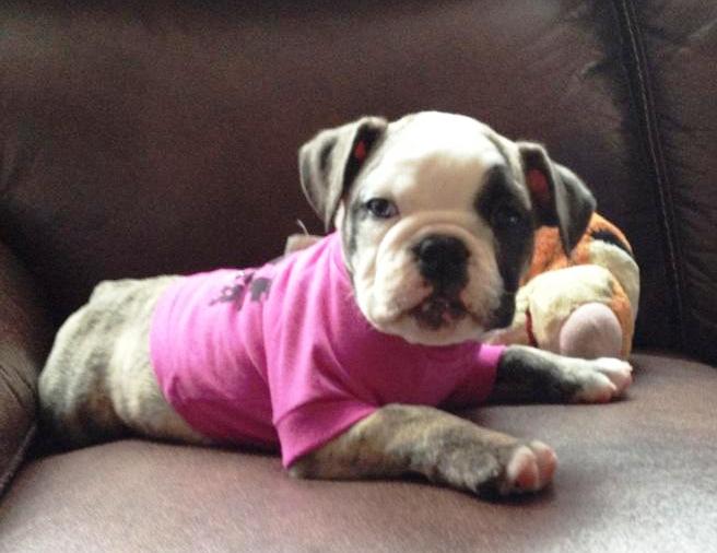 Kaida at 11 wks