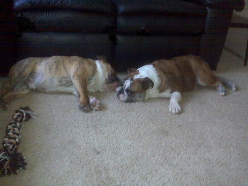we ate .. we played .. now we sleep!!