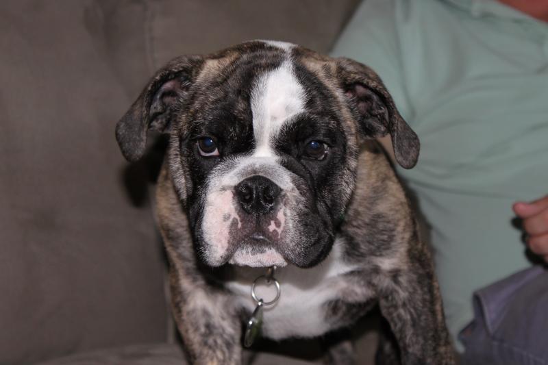 Seamus on his first day home