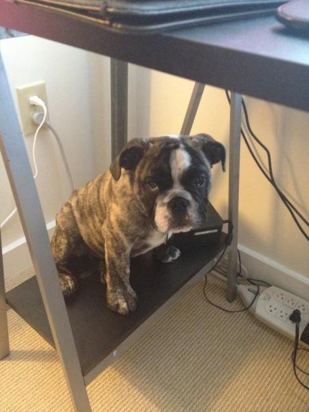 Sleeping while Mommy works