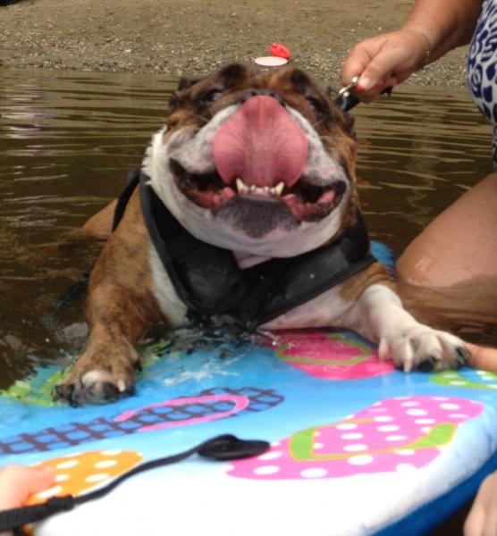 Bella boggie boarding